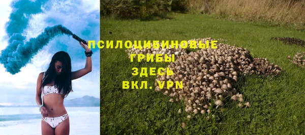 jwh Аркадак
